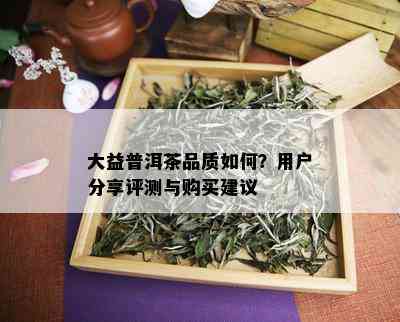 大益普洱茶品质如何？用户分享评测与购买建议