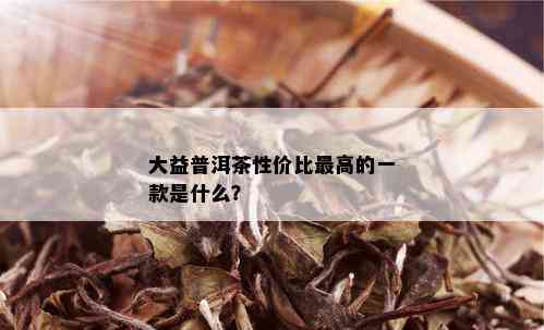 大益普洱茶性价比更高的一款是什么？