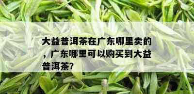 大益普洱茶在广东哪里卖的，广东哪里可以购买到大益普洱茶？