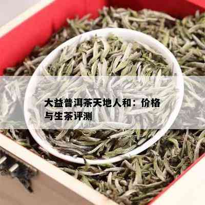 大益普洱茶天地人和：价格与生茶评测