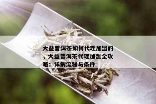 大益普洱茶如何代理加盟的，大益普洱茶代理加盟全攻略：详解流程与条件