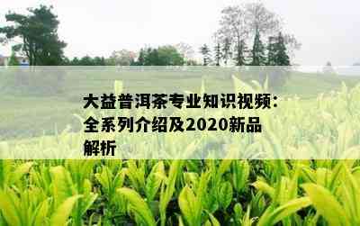 大益普洱茶专业知识视频：全系列介绍及2020新品解析