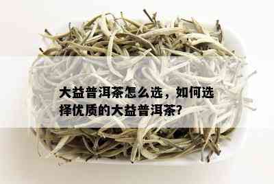 大益普洱茶怎么选，如何选择优质的大益普洱茶？