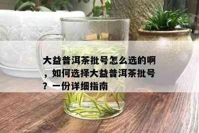 大益普洱茶批号怎么选的啊，如何选择大益普洱茶批号？一份详细指南