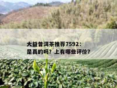 大益普洱茶推荐7592：是真的吗？上有哪些评价？