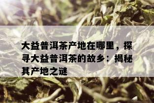 大益普洱茶产地在哪里，探寻大益普洱茶的故乡：揭秘其产地之谜