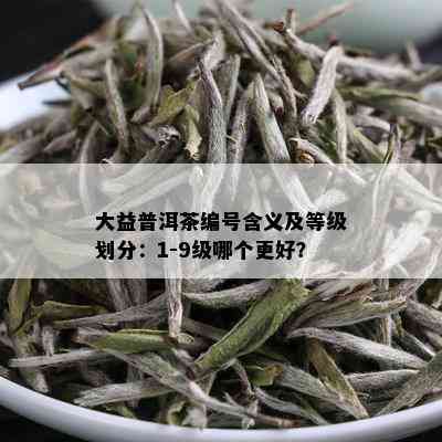 大益普洱茶编号含义及等级划分：1-9级哪个更好？