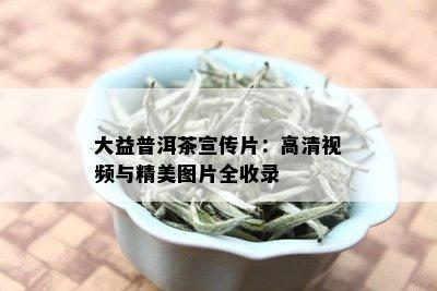 大益普洱茶宣传片：高清视频与精美图片全收录