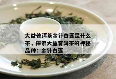 大益普洱茶金针白莲是什么茶，探索大益普洱茶的神秘品种：金针白莲