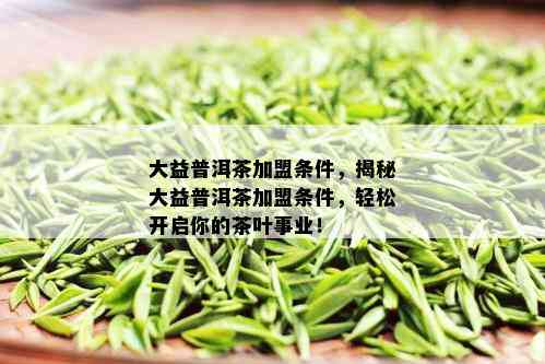 大益普洱茶加盟条件，揭秘大益普洱茶加盟条件，轻松开启你的茶叶事业！