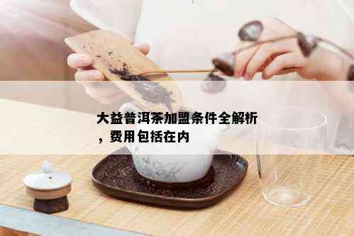 大益普洱茶加盟条件全解析，费用包括在内