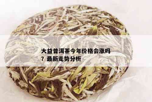 大益普洱茶今年价格会涨吗？最新走势分析