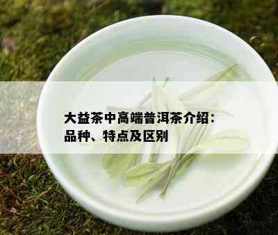 大益茶中高端普洱茶介绍：品种、特点及区别