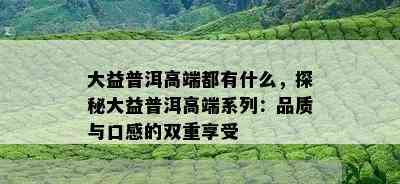 大益普洱高端都有什么，探秘大益普洱高端系列：品质与口感的双重享受