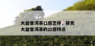 大益普洱茶口感怎样，探究大益普洱茶的口感特点