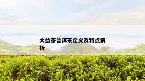 大益茶普洱茶定义及特点解析