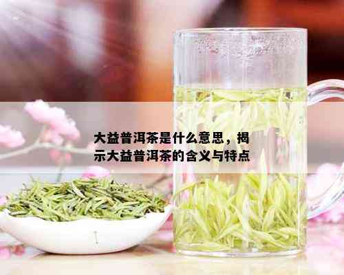 大益普洱茶是什么意思，揭示大益普洱茶的含义与特点