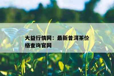 大益行情网：最新普洱茶价格查询官网