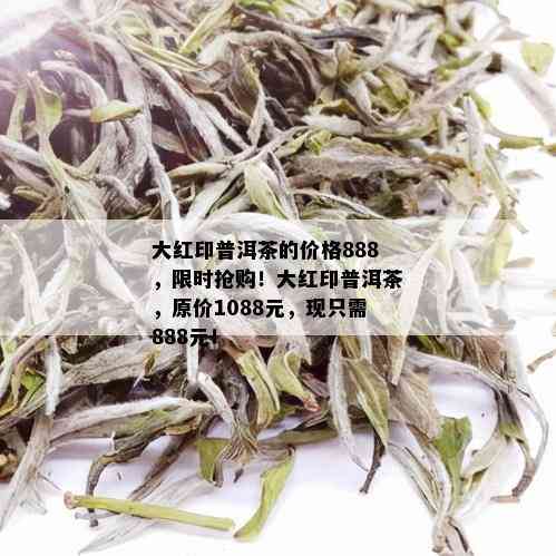 大红印普洱茶的价格888，限时抢购！大红印普洱茶，原价1088元，现只需888元！