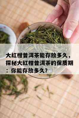 大红柑普洱茶能存放多久，探秘大红柑普洱茶的保质期：你能存放多久？