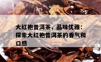 大红袍普洱茶，品味优雅：探索大红袍普洱茶的香气和口感