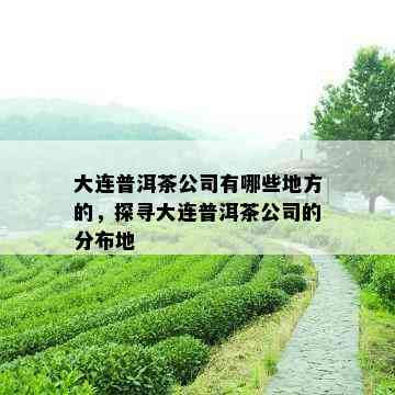 大连普洱茶公司有哪些地方的，探寻大连普洱茶公司的分布地