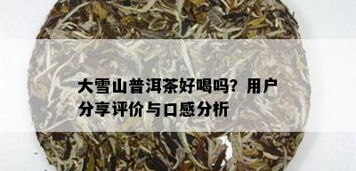 大雪山普洱茶好喝吗？用户分享评价与口感分析