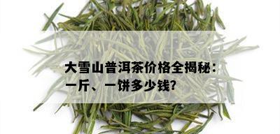 大雪山普洱茶价格全揭秘：一斤、一饼多少钱？