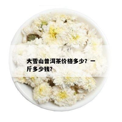 大雪山普洱茶价格多少？一斤多少钱？