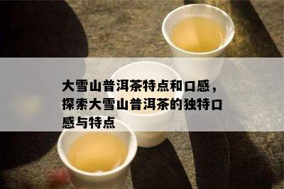 大雪山普洱茶特点和口感，探索大雪山普洱茶的独特口感与特点