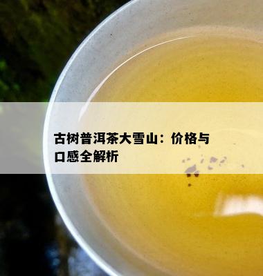 古树普洱茶大雪山：价格与口感全解析