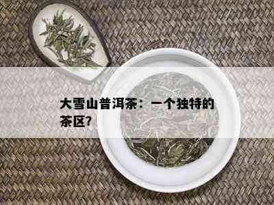 大雪山普洱茶：一个独特的茶区？