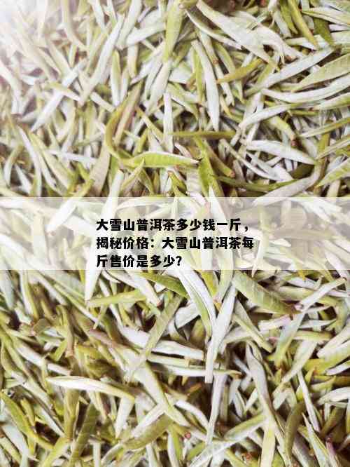 大雪山普洱茶多少钱一斤，揭秘价格：大雪山普洱茶每斤售价是多少？