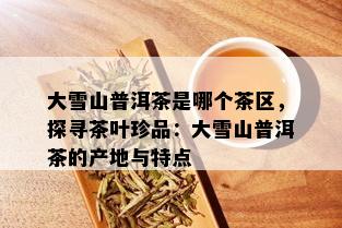 大雪山普洱茶是哪个茶区，探寻茶叶珍品：大雪山普洱茶的产地与特点