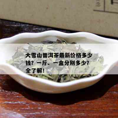 大雪山普洱茶最新价格多少钱？一斤、一盒分别多少？全了解！