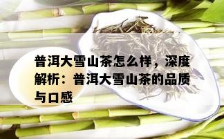 普洱大雪山茶怎么样，深度解析：普洱大雪山茶的品质与口感