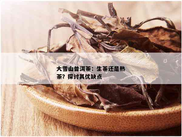 大雪山普洱茶：生茶还是熟茶？探讨其优缺点