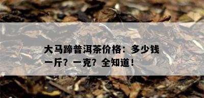 大马蹄普洱茶价格：多少钱一斤？一克？全知道！