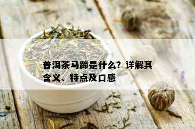 普洱茶马蹄是什么？详解其含义、特点及口感