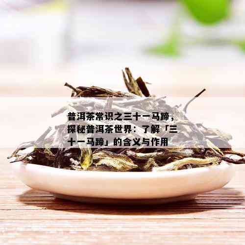 普洱茶常识之三十一马蹄，探秘普洱茶世界：了解「三十一马蹄」的含义与作用