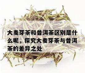 大麦芽茶和普洱茶区别是什么呢，探究大麦芽茶与普洱茶的差异之处