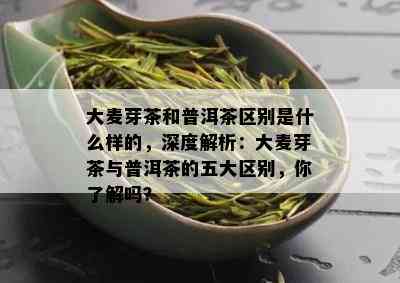 大麦芽茶和普洱茶区别是什么样的，深度解析：大麦芽茶与普洱茶的五大区别，你了解吗？