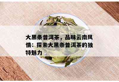 大黑条普洱茶，品味云南风情：探索大黑条普洱茶的独特魅力