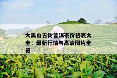 大黑山古树普洱茶价格表大全：最新行情与高清图片全览