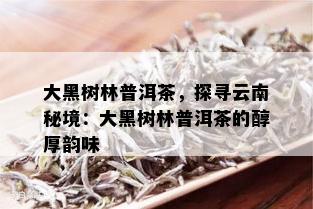 大黑树林普洱茶，探寻云南秘境：大黑树林普洱茶的醇厚韵味