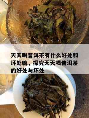 天天喝普洱茶有什么好处和坏处嘛，探究天天喝普洱茶的好处与坏处