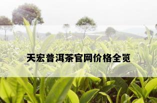 天宏普洱茶官网价格全览