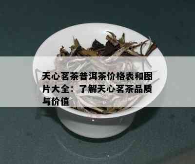 天心茗茶普洱茶价格表和图片大全：了解天心茗茶品质与价值