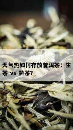 天气热如何存放普洱茶：生茶 vs 熟茶？