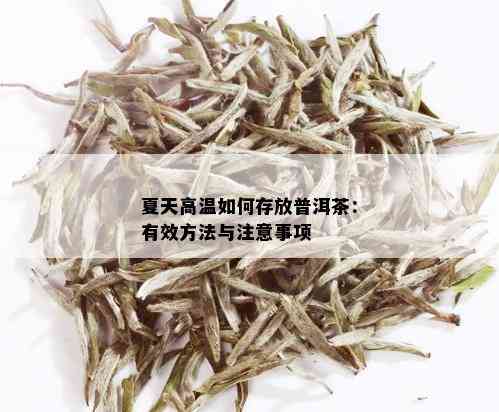 夏天高温如何存放普洱茶：有效方法与注意事项